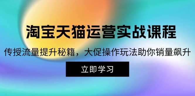 （12959 期）淘宝 & 天猫运营实操课程，教授流量增长诀窍，大促运营策略促你销量猛增-多多网创