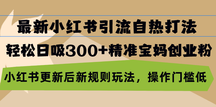 （13145期）最新小红书引流自热打法，轻松日吸300+精准宝妈创业粉，小红书更新后新…-多多网创