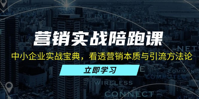 （13146期）营销实战陪跑课：中小企业实战宝典，看透营销本质与引流方法论-多多网创