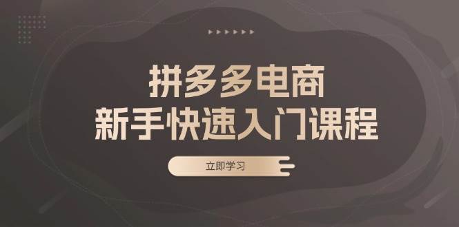 fy8317 期——拼多多电商新手快速入门课程：包含基础、实战以及选款等内容，可助力电商小白轻松上手。-多多网创