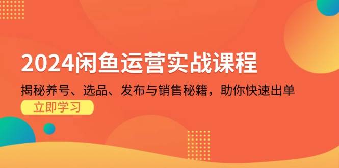 fy8333 期——2024 闲鱼运营实战课程：将养号、选品、发布以及销售的秘籍予以揭秘，助力你迅速出单。-多多网创