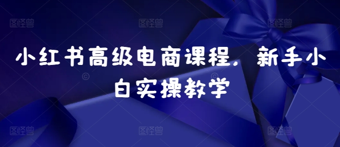 mp12634 期——小红书高级电商课程之新手小白实操教学-多多网创