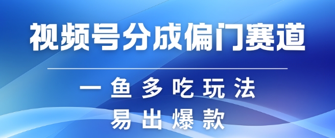 mp12644 期——视频号创作者的分成计划之偏门类目，具有容易爆流的特点，且实拍内容简便易操作。-多多网创