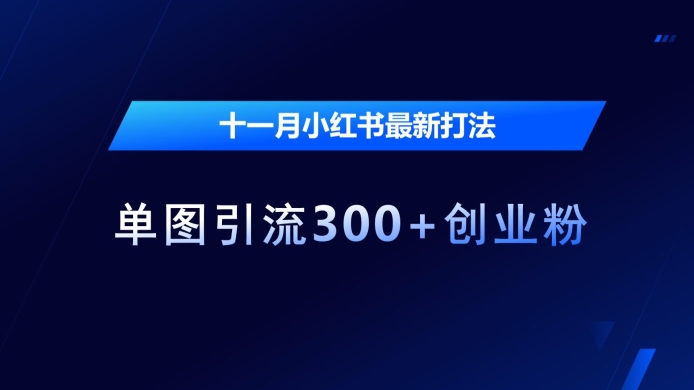 mp12700 期——十一月小红书的最新攻略，通过单图能引流 300+创业粉。-多多网创