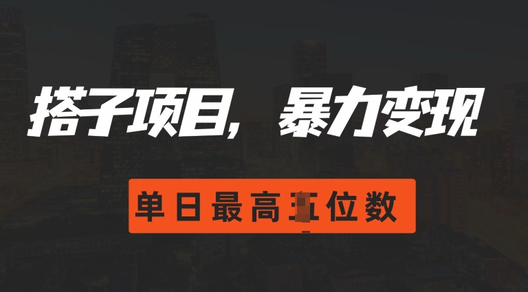 mp12773 期——2024 搭子玩法，毫无门槛限制，可轻松变现，单日最高能够突破四位数。-多多网创