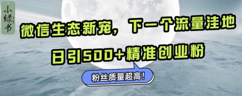 MP12867 期——微信生态中的新宠“小绿书”：下一个流量的宝藏之地，每日可吸引 500 以上精准的创业粉丝，粉丝质量甚是卓越。-多多网创