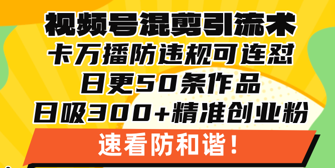 （13400 期）视频号混剪引流之术，达成 500 万播放量并引流 17000 名创业粉丝，操作简便，当天即可学会。-多多网创