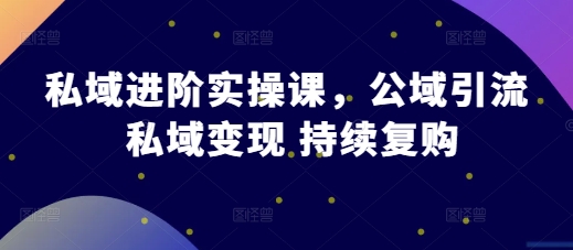 mp12919 期—私域进阶的实操课，包含公域引流、私域变现与持续复购内容。-多多网创