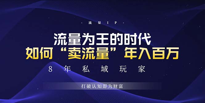 （13433 期）未来怎样凭借“卖流量”实现年入百万，跨越所有周期的绝对蓝海项目。-多多网创