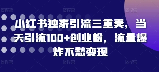 MP13106 期——小红书专属引流三重奏，当日即可引流 100 多个创业粉丝，流量爆棚完全不愁变现。-多多网创