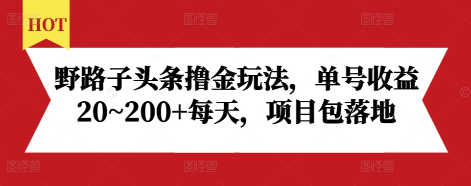 MP13107 期——野路子头条掘金玩法，单号每日收益在 20 至 200 以上，项目包含落地实施。-多多网创