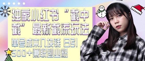 MP13601 期——全新小红书截流玩法揭秘,独家的截中截技巧,单个账号成本仅需几块钱,每日可引流 500+CY 粉及 JZ 粉。-多多网创