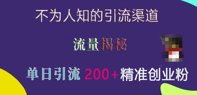 MP13602 期——鲜为人知的引流渠道大揭秘，流量背后的秘密，经实测单日可引流 200+精准创业粉丝。-多多网创