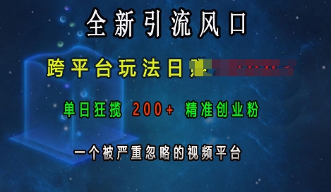 MP13615 期——全新的引流契机,跨平台的独特玩法可实现日入上千,单日能够狂揽 200 多个精准创业粉丝,这是一个被严重忽视的视频平台。-多多网创