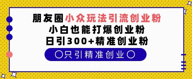 MP14010 期——于朋友圈的小众玩法来引流创业粉，即便是小白也能够打爆创业粉，每日可引入 300+的精准创业粉。-多多网创