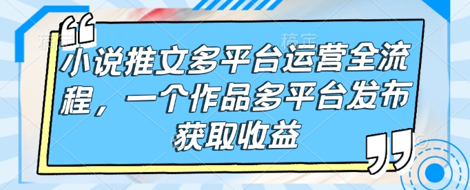 小说推文多平台运营流程，多平台收益秘籍-多多网创