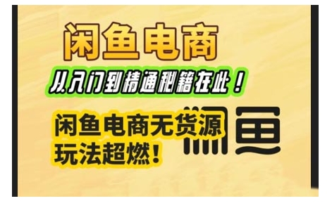 闲鱼电商实战，从入门精通到无货源超燃玩法-多多网创