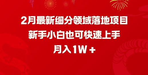 mp16974期-2月最新细分领域落地项目，新手小白也可快速上手，月入1W-多多网创