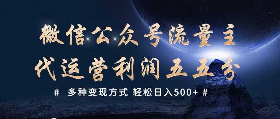 fy11398期-公众号流量主代运营  多种变现方式 轻松日入500+-多多网创