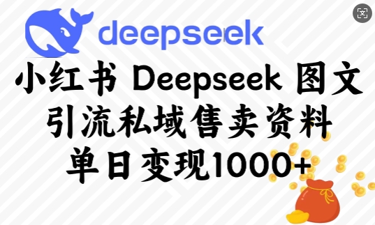 mp16988期-小红书Deepseek图文引流私域售卖资料，单日变现多张-多多网创