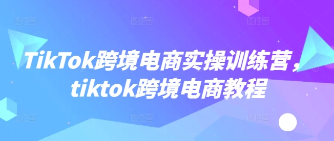 mp16991期-TikTok跨境电商实操训练营，tiktok跨境电商教程-多多网创
