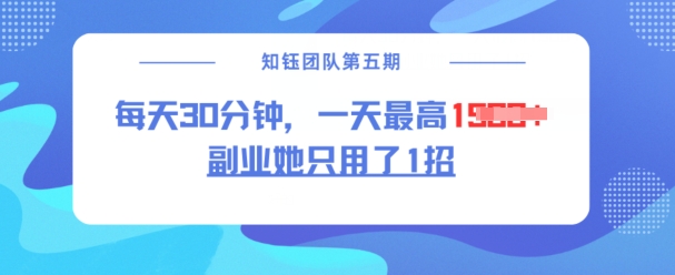 mp17027期-副业她只用了1招，每天30分钟，无脑二创，一天最高1.5k-多多网创