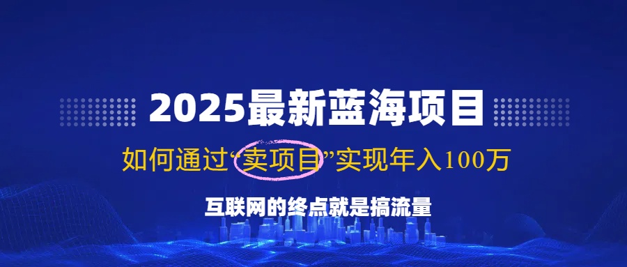 （14305期）2025最新蓝海项目，零门槛轻松复制，月入10万+，新手也能操作！-多多网创