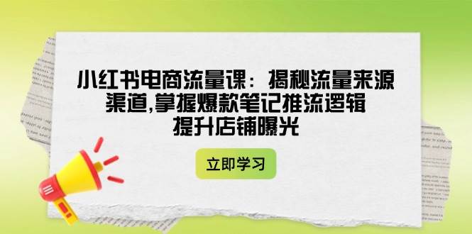 fy11451期-小红书电商流量课：揭秘流量来源渠道,掌握爆款笔记推流逻辑,提升店铺曝光-多多网创