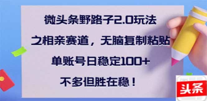 （14334期）微头条野路子2.0玩法之相亲赛道，无脑搬砖复制粘贴，单账号日稳定300+…-多多网创