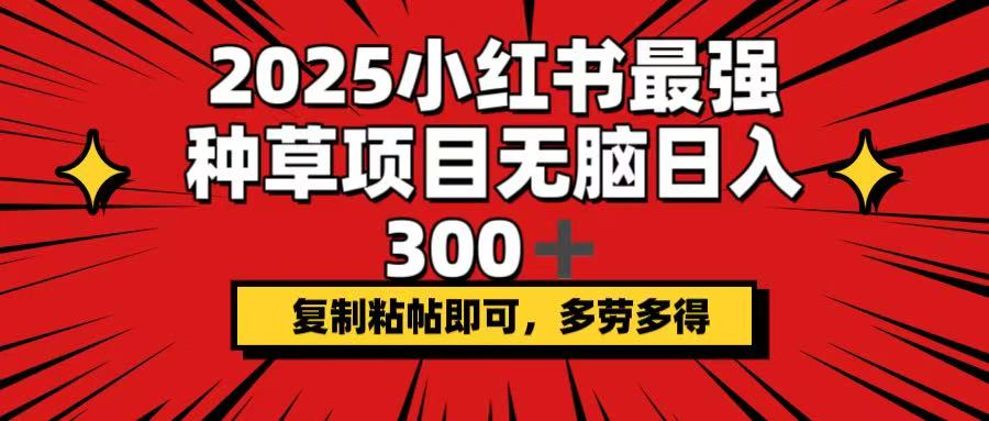 （14375期）2025小红书最强种草项目，无脑日入300+，复制粘帖即可，多劳多得-多多网创