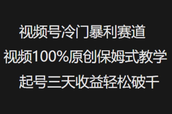 mp17424期-视频号冷门暴利赛道视频100%原创保姆式教学起号三天收益轻松破千-多多网创