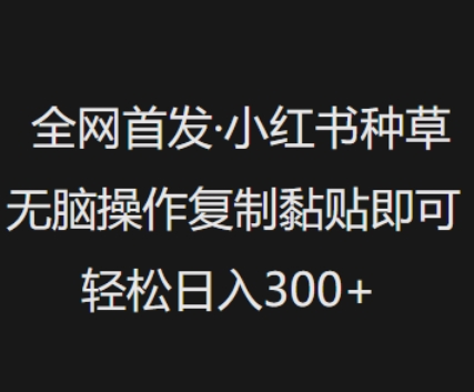 mp17492期-全网首发，小红书种草无脑操作，复制黏贴即可，轻松日入3张-多多网创