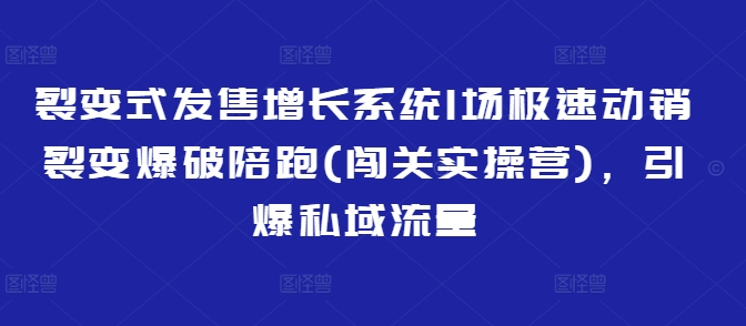 mp17704期-裂变式发售增长系统1场极速动销裂变爆破陪跑(闯关实操营)，引爆私域流量-多多网创