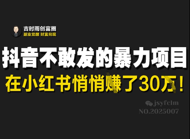 mp17884期-抖音不敢发的暴利项目，在小红书悄悄挣了30W-多多网创