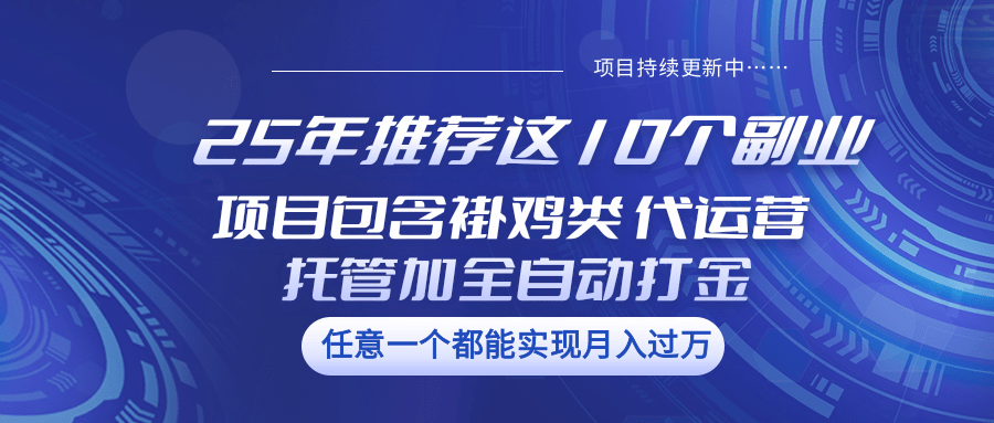 fy11853期-25年推荐这10个副业 项目包含褂鸡类、代运营托管类、全自动打金类-多多网创