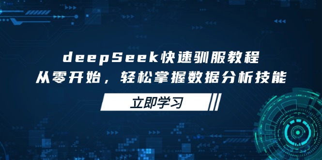 （14536期）deepSeek快速驯服教程，从零开始，轻松掌握数据分析技能-多多网创