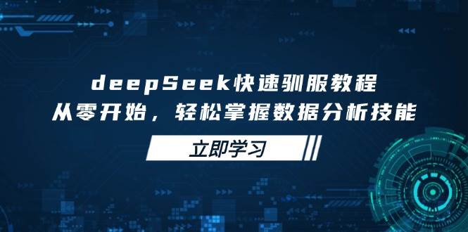 fy11884期-deepSeek快速驯服教程，从零开始，轻松掌握数据分析技能-多多网创