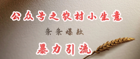 mp17980期-deepseek写农村小项目，条条爆款，引流-多多网创