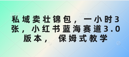 mp18295期-私域卖壮锦包，一小时3张，小红书蓝海赛道3.0版本， 保姆式教学-多多网创