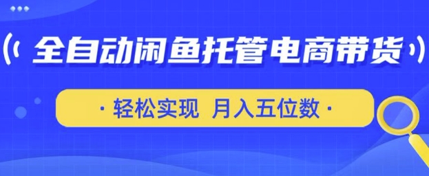 mp18606期-全自动闲鱼托管式电商带货，只需一部安卓手机和一个闲鱼号，轻松实现月入五位数-多多网创