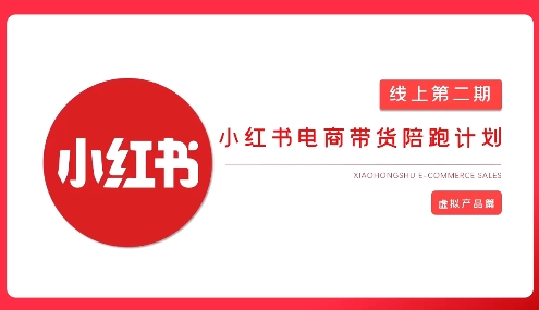 mp18697期-2025小红书虚拟电商实战课，从0到1打造无货源店铺，AI+爆款笔记轻松变现-多多网创