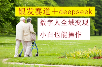 mp22019期-银发赛道+deepseek数字人全域变现，小白也能操作-多多网创