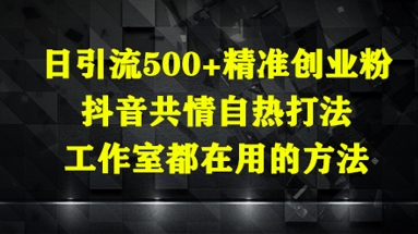 mp22022期-日引流500+精准创业粉，抖音共情自热打法，工作室都在用的方法-多多网创