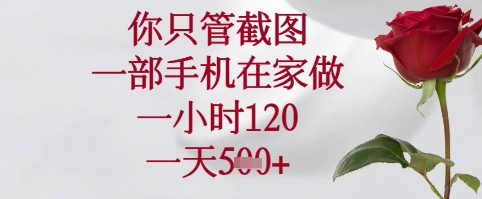mp22030期-你只管截图，一部手机在家可以做，一小时120.一天5张+-多多网创