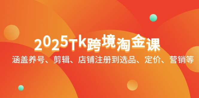 （14638期）2025Tk跨境淘金课：涵盖养号、剪辑、店铺注册到选品、定价、营销等-多多网创
