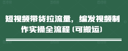 mp22291期-短视频带货拉流量，编发视频制作实操全流程(可搬运)-多多网创