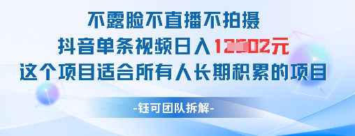 mp22877期-不露脸不直播不拍摄抖音单条视频日入1k+这个项目适合所有人长期积累的项目-多多网创