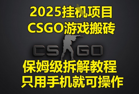 mp22879期-2025挂G项目，CSGO游戏搬砖，保姆级拆解教程，只用手机就可操作-多多网创