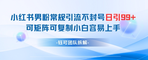 mp22971期-小红书男粉常规引流不封号日引99+变现简单 可矩阵可复制小白容易上手-多多网创