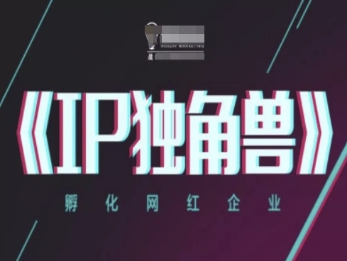 mp23059期-IP独角兽，孵化网红企业，ip教程-多多网创